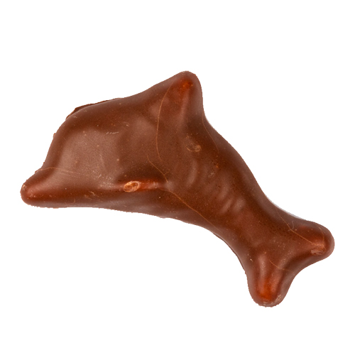 Små Chokladdelfiner