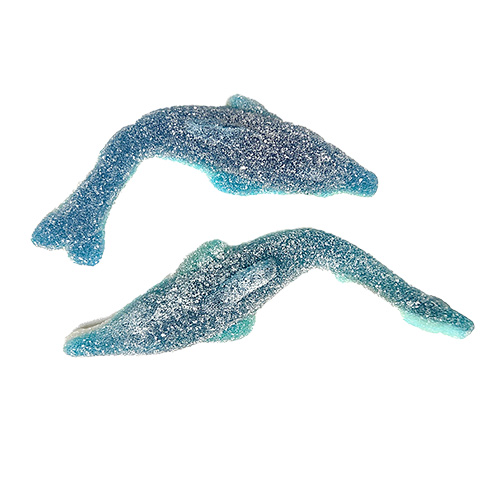 Stor Sur Delfin