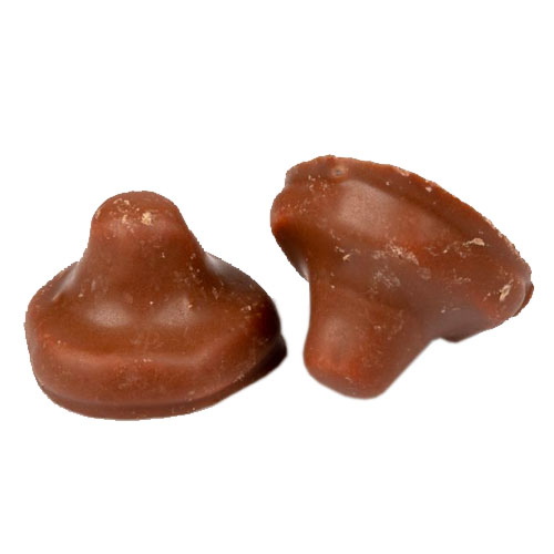 Chokladsvamp